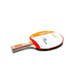 RAQUETE VOLLO TENIS DE MESA ENERGY L
